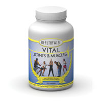 Vital Joints and Muscles